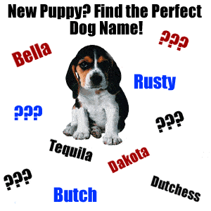 Dog Puppy name