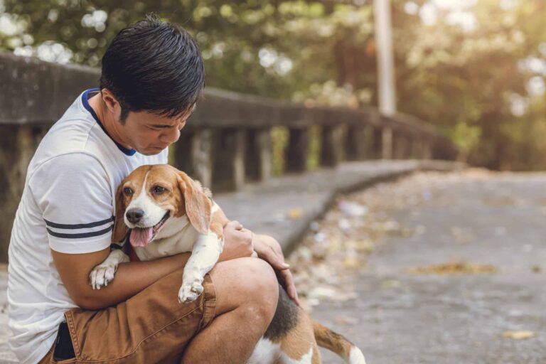 How to calm down a Beagle?
