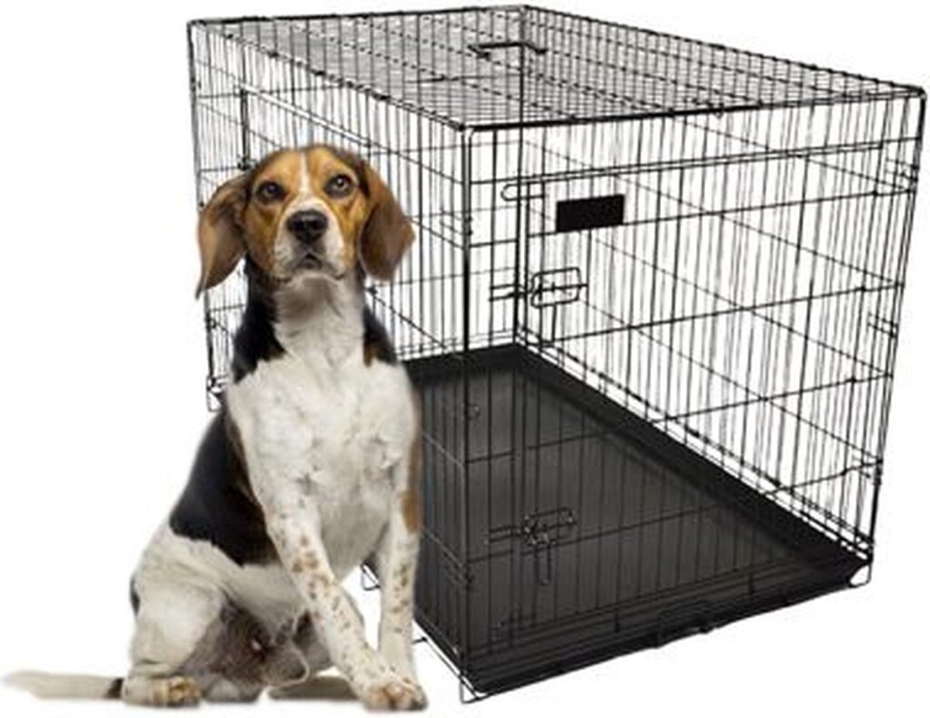 Beagle crate
