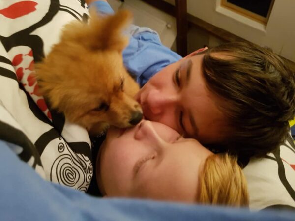 Chien sociable pour famille