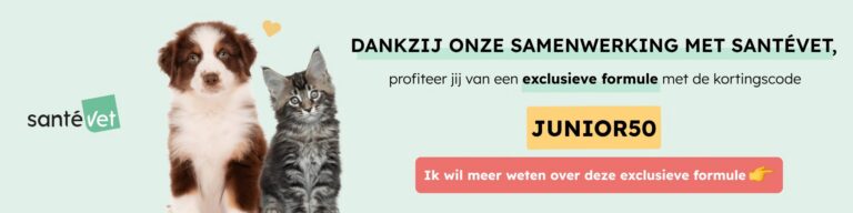 santevet